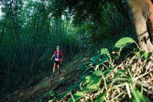 BIB: 
                            <button type="button" onclick="openModal(28124288)" class="btn btn-primary btn-sm float-right btn-popup" data-toggle="modal" data-target=".modal-high-quality">
                        <i class="fas fa-shopping-cart"></i> Add to Cart
                    </button>
                                            <button type="button" onclick="isThisMe(28124288, true)" class="btn btn-success btn-sm float-right btn-popup btn-isme hidden" data-toggle="tooltip" data-placement="bottom" title="นี่คือรูปของคุณใช่ไหม คลิกที่นี่เพื่อเอาเข้าอัลบั้ม">
                        <i class="fas fa-plus"></i> Add to album
                    </button>
                    <button type="button" onclick="isThisMe(28124288, false)" class="btn btn-warning btn-sm float-right btn-popup btn-isnotme hidden">
                        <i class="fas fa-ban"></i> Remove from album
                    </button>